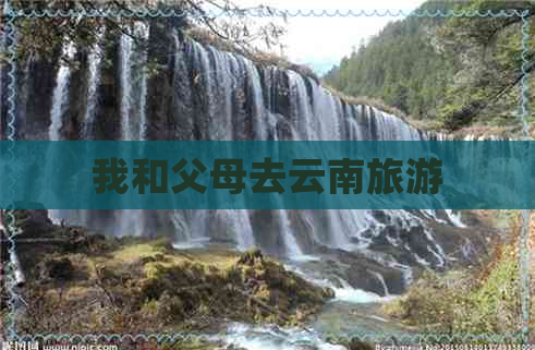 我和父母去云南旅游