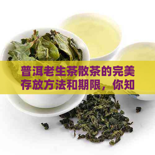 普洱老生茶散茶的完美存放方法和期限，你知道吗？