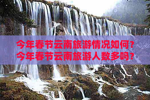 今年春节云南旅游情况如何？今年春节云南旅游人数多吗？