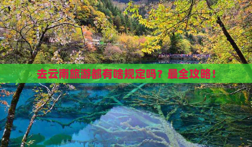 去云南旅游都有啥规定吗？最全攻略！