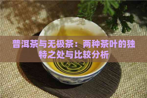 普洱茶与无极茶：两种茶叶的独特之处与比较分析