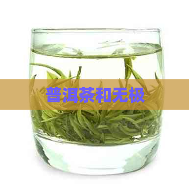 普洱茶和无极