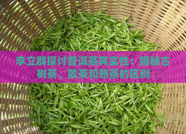 李立群探讨普洱茶真实性：揭秘古树茶、散茶和熟茶的区别