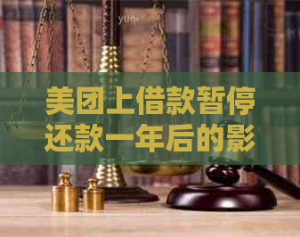 美团上借款暂停还款一年后的影响及其相关风险分析