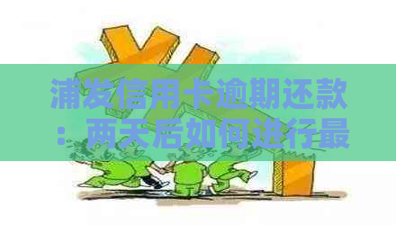 浦发信用卡逾期还款：两天后如何进行更低还款？完整解决方案一文解析