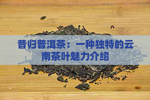 昔归普洱茶：一种独特的云南茶叶魅力介绍