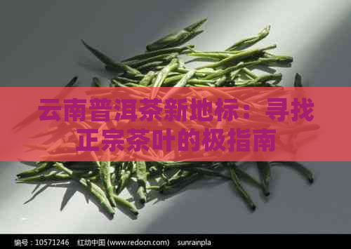 云南普洱茶新地标：寻找正宗茶叶的极指南