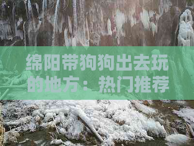 绵阳带狗狗出去玩的地方：热门推荐及位置指南