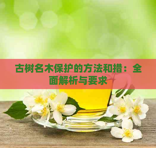 古树名木保护的方法和措：全面解析与要求