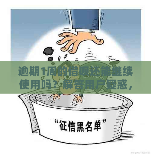 逾期1周的借呗还能继续使用吗？解答用户疑惑，全面了解相关政策和处理方法