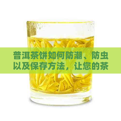 普洱茶饼如何防潮、防虫以及保存方法，让您的茶叶保持新和美味