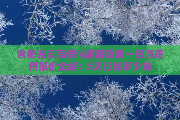 合肥去云南结伴旅游攻略一日游费用报价全解：5天行程多少钱