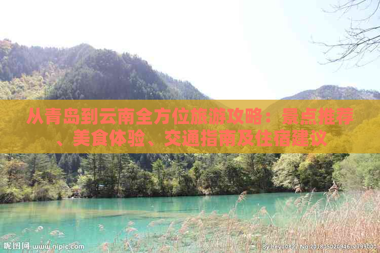 从青岛到云南全方位旅游攻略：景点推荐、美食体验、交通指南及住宿建议