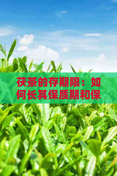 茯茶的存期限：如何长其保质期和保持口感？