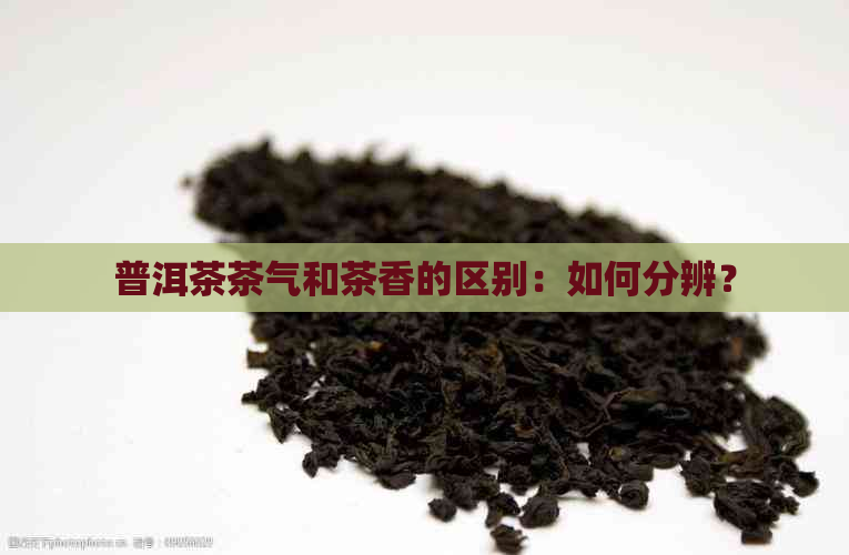 普洱茶茶气和茶香的区别：如何分辨？