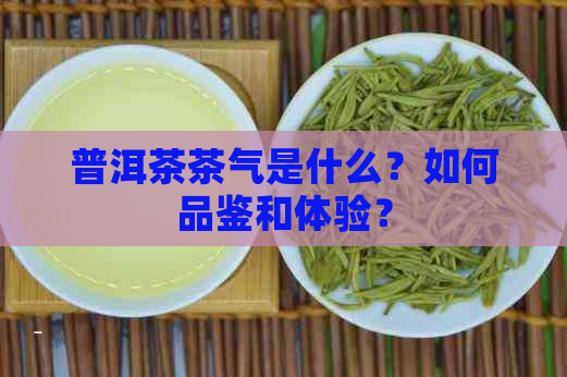 普洱茶茶气是什么？如何品鉴和体验？