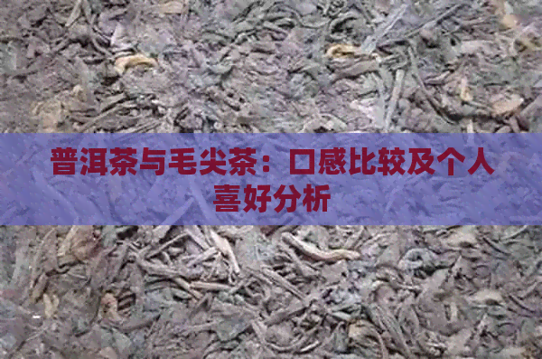 普洱茶与毛尖茶：口感比较及个人喜好分析