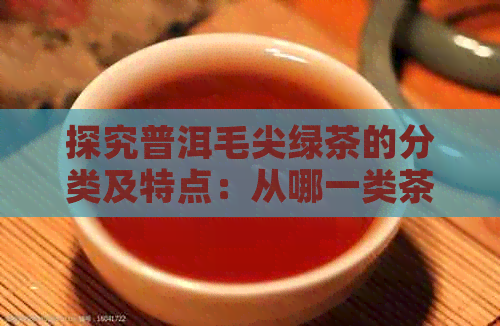 探究普洱毛尖绿茶的分类及特点：从哪一类茶说起？