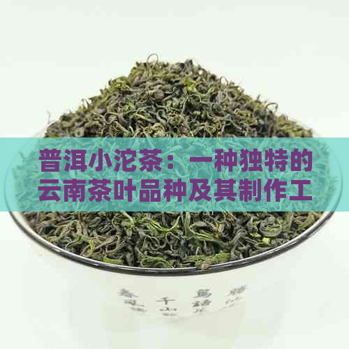 普洱小沱茶：一种独特的云南茶叶品种及其制作工艺详解