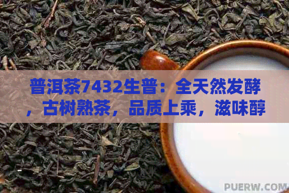 普洱茶7432生普：全天然发酵，古树熟茶，品质上乘，滋味醇厚，越陈越香。