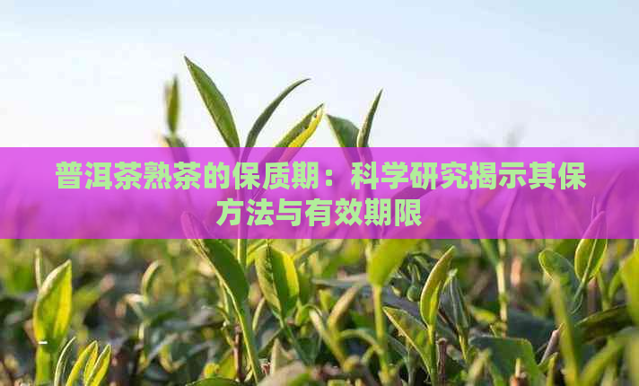 普洱茶熟茶的保质期：科学研究揭示其保方法与有效期限