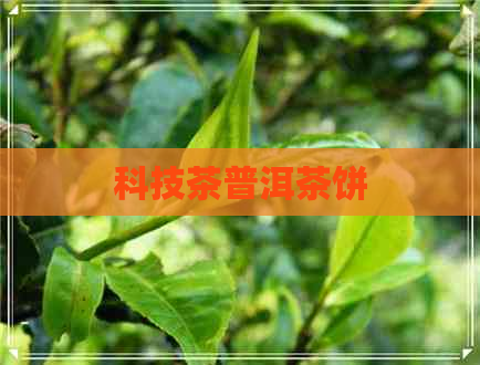 科技茶普洱茶饼