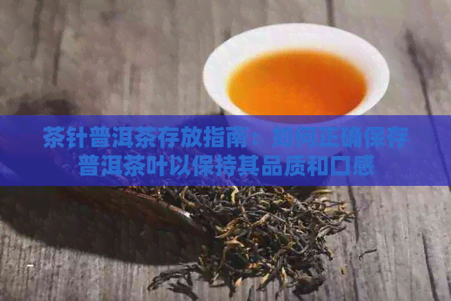 茶针普洱茶存放指南：如何正确保存普洱茶叶以保持其品质和口感