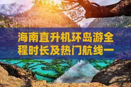 海南直升机环岛游全程时长及热门航线一览