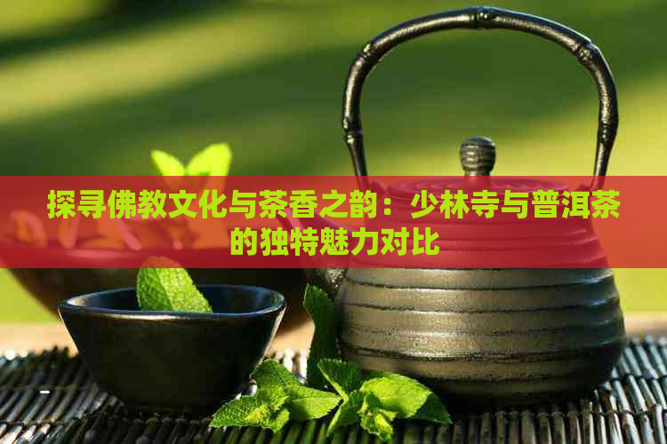 探寻佛教文化与茶香之韵：少林寺与普洱茶的独特魅力对比