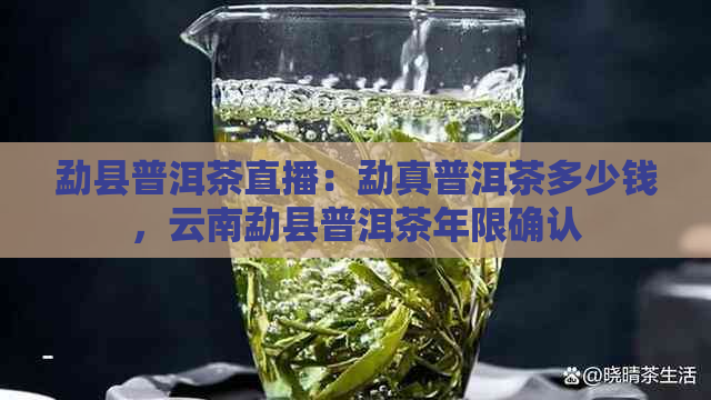 勐县普洱茶直播：勐真普洱茶多少钱，云南勐县普洱茶年限确认