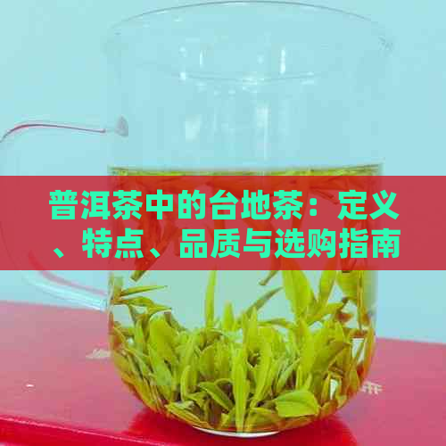 普洱茶中的台地茶：定义、特点、品质与选购指南