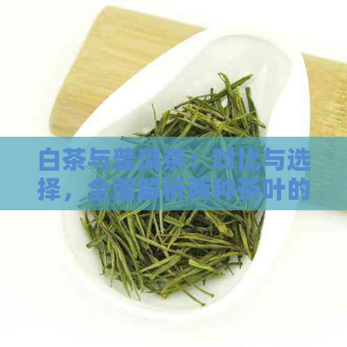 白茶与普洱茶：对比与选择，全面解析两种茶叶的特点、功效与泡法