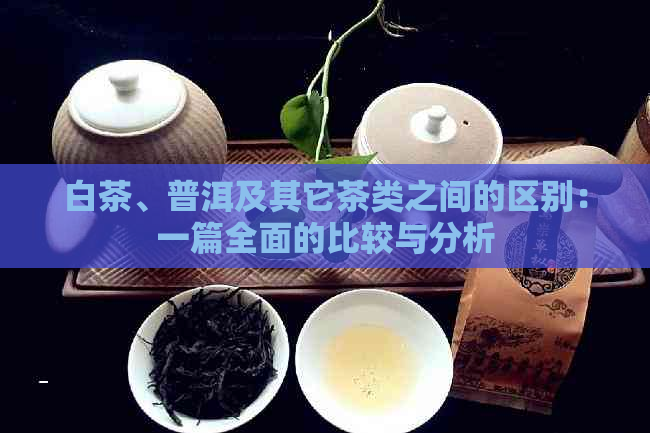 白茶、普洱及其它茶类之间的区别：一篇全面的比较与分析