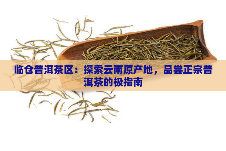 临仓普洱茶区：探索云南原产地，品尝正宗普洱茶的极指南