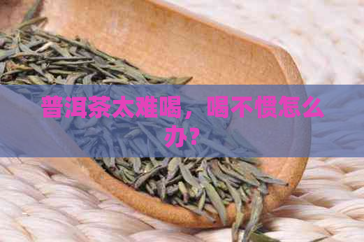 普洱茶太难喝，喝不惯怎么办？