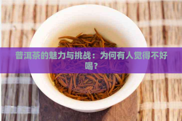 普洱茶的魅力与挑战：为何有人觉得不好喝？