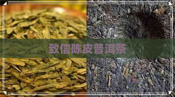 致信陈皮普洱茶