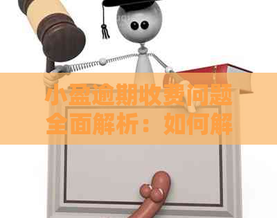 小盈逾期收费问题全面解析：如何解决与投诉途径一网打尽！