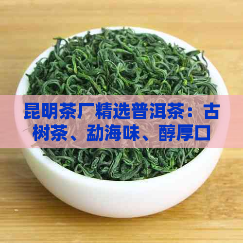 昆明茶厂精选普洱茶：古树茶、勐海味、醇厚口感、收藏佳品