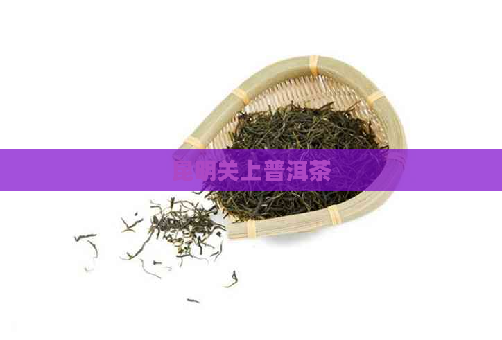 昆明关上普洱茶