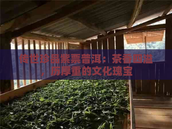 传世珍品紫票普洱：茶香四溢，历厚重的文化瑰宝