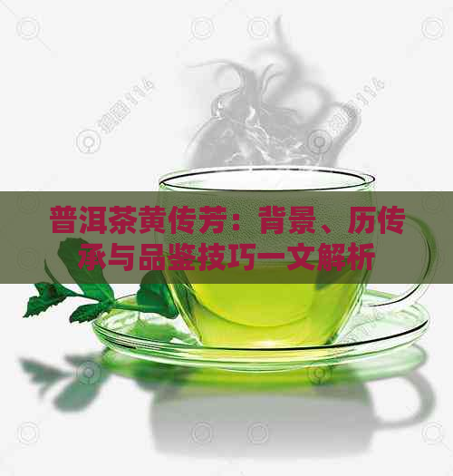 普洱茶黄传芳：背景、历传承与品鉴技巧一文解析