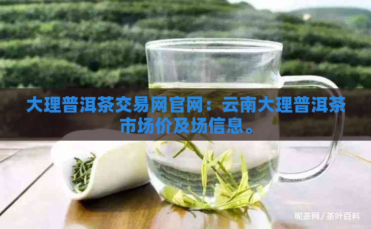 大理普洱茶交易网官网：云南大理普洱茶市场价及场信息。