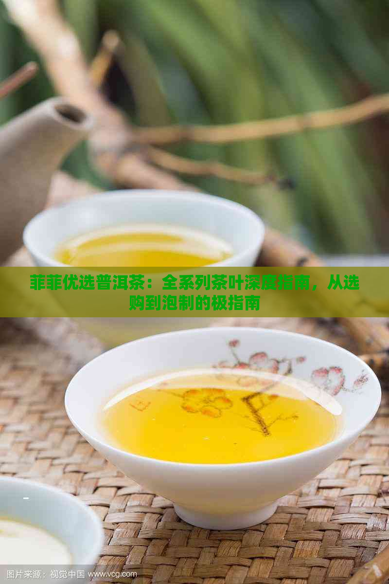 菲菲优选普洱茶：全系列茶叶深度指南，从选购到泡制的极指南