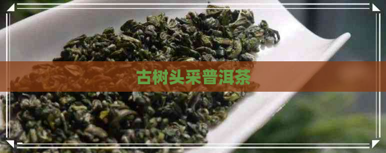 古树头采普洱茶