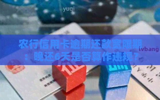 农行信用卡逾期还款宽限期：晚还6天是否算作违规？