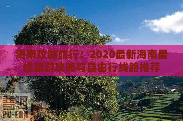 海南攻略旅行：2020最新海南更佳旅游攻略与自由行线路推荐