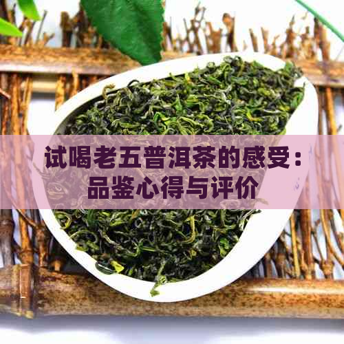 试喝老五普洱茶的感受：品鉴心得与评价