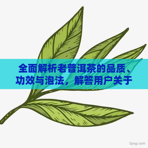 全面解析老普洱茶的品质、功效与泡法，解答用户关于老普洱茶的各种问题