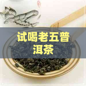 试喝老五普洱茶